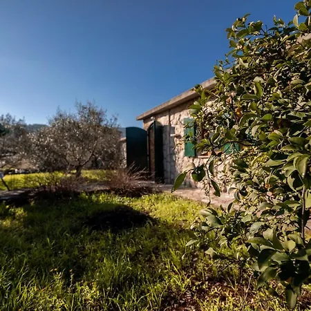 Holiday home Stone House Anja